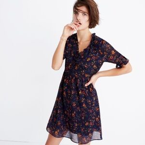 Madewell Freesia Dress in Climbing Vine size 4